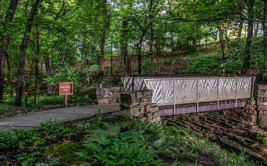 6 Ways Bentonville is Expanding Its Tree Canopy