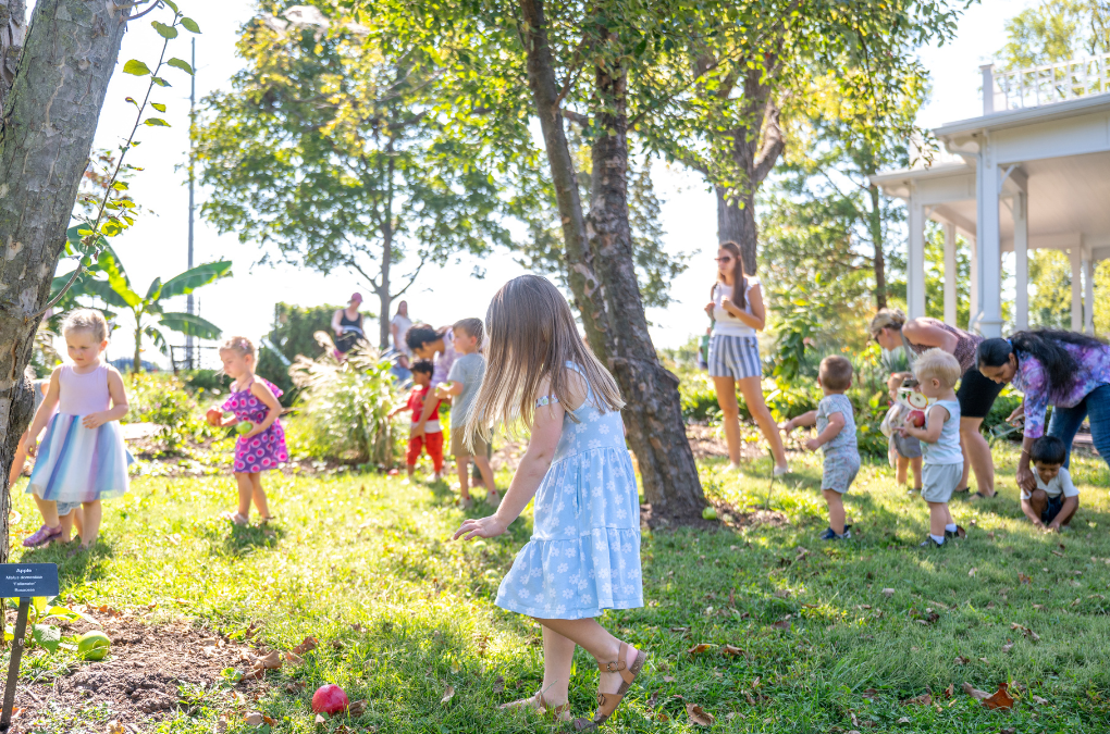 Apples After Hours: A Sweet Slice of History