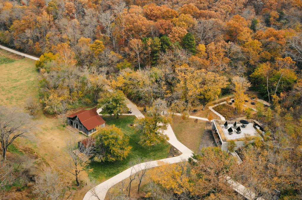 Fall at Coler: A Visitor’s Guide