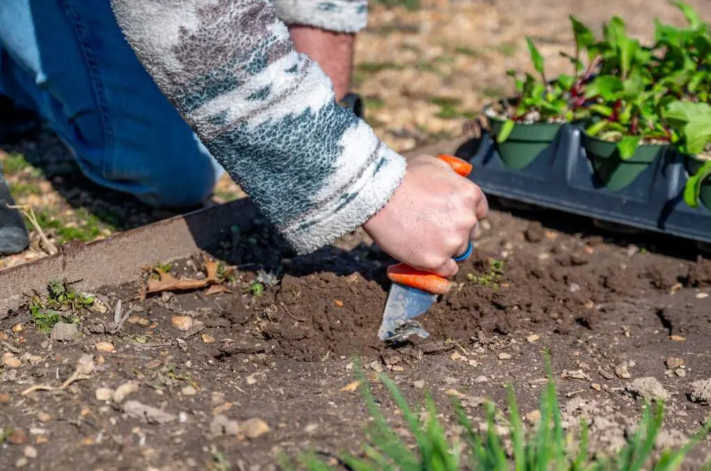 Small Space Gardening 101