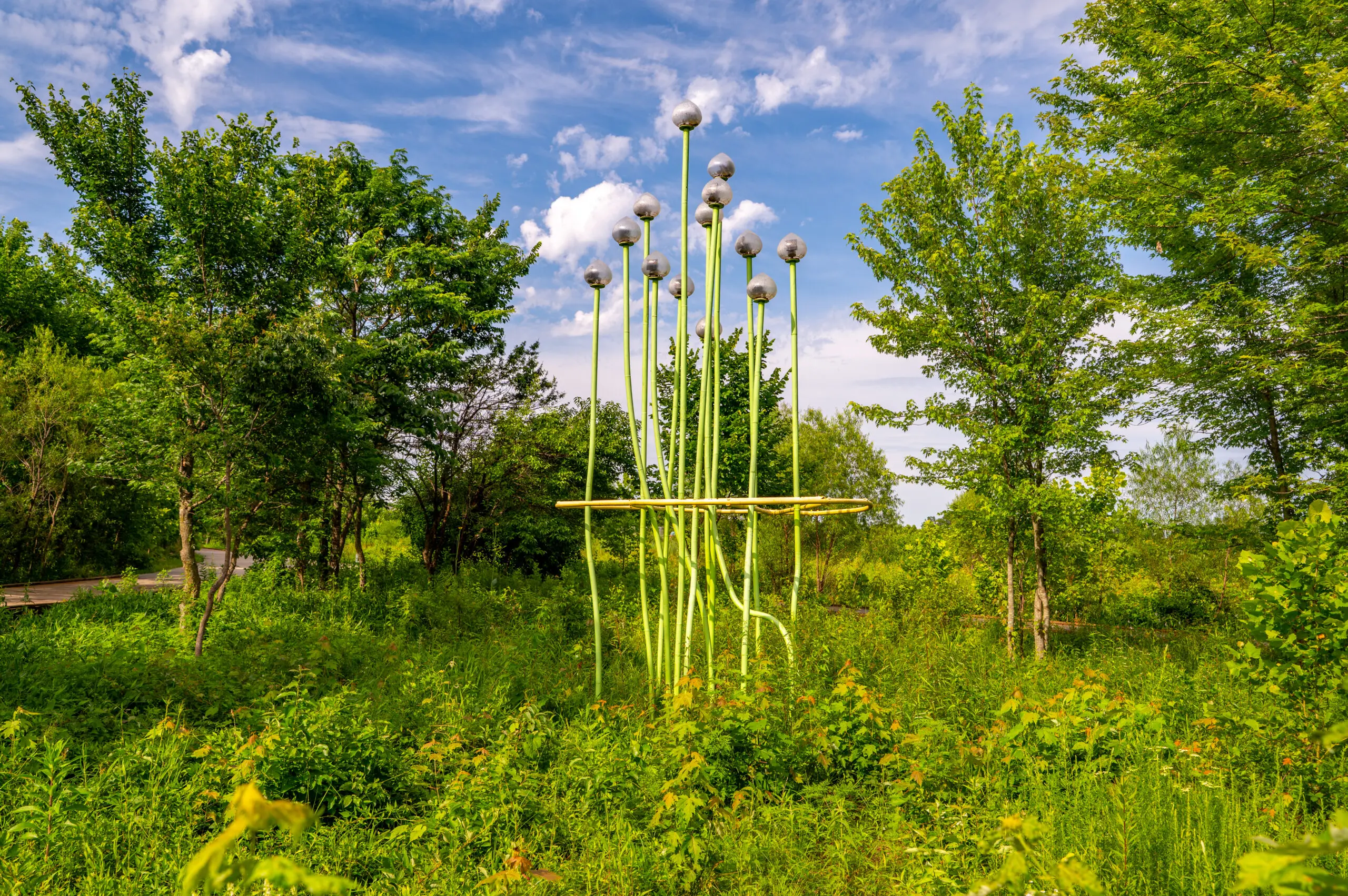 TallGrass1