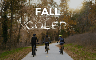 Fall at Coler MTB Preserve