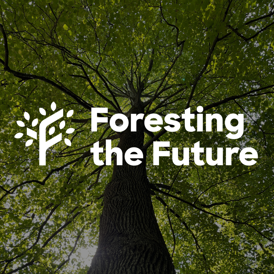 Foresting the Future | The Peel Compton Foundation