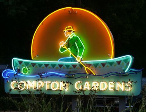 Dr. Compton’s Iconic Neon Sign