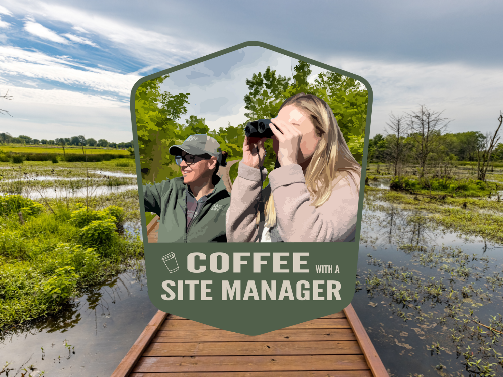 Coffee with a Site Manager